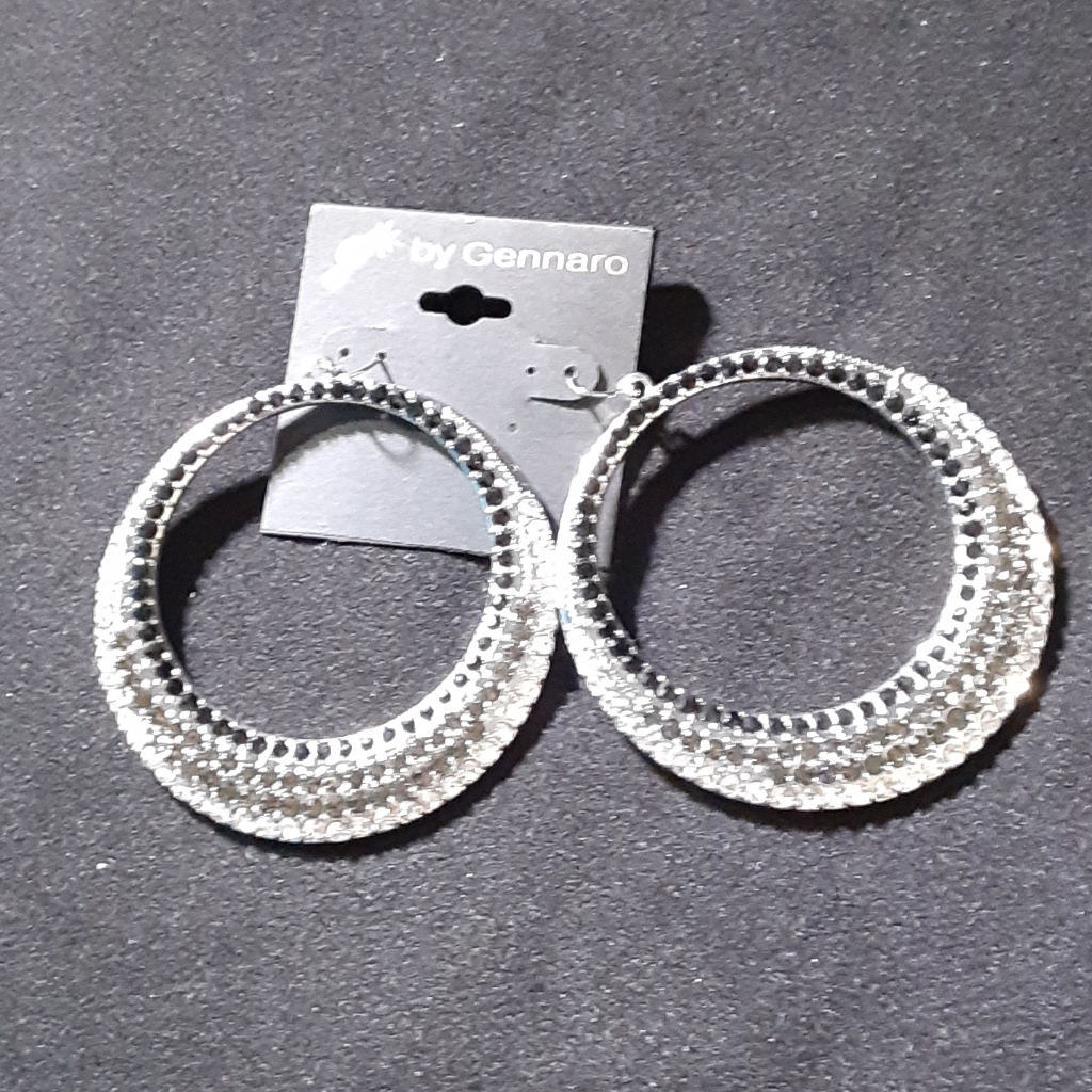 Large Hoop Earrings 14$